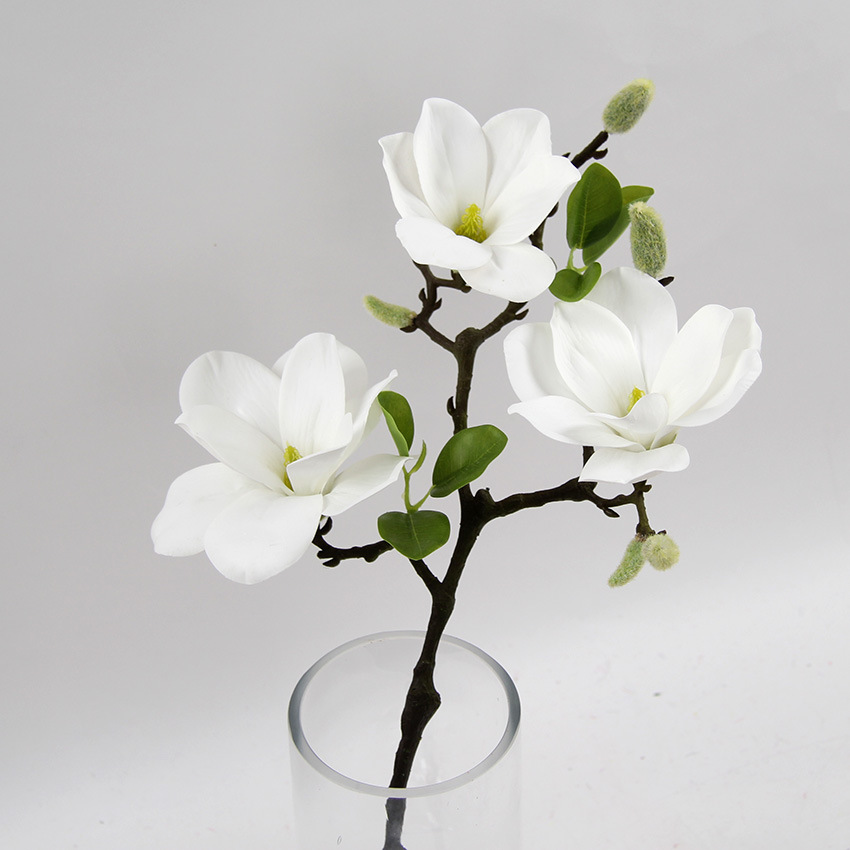 Трехногласованная пленка Magnolia Home Decoration Mimulation Agent Activation активация магнолия моделирование Magnolia