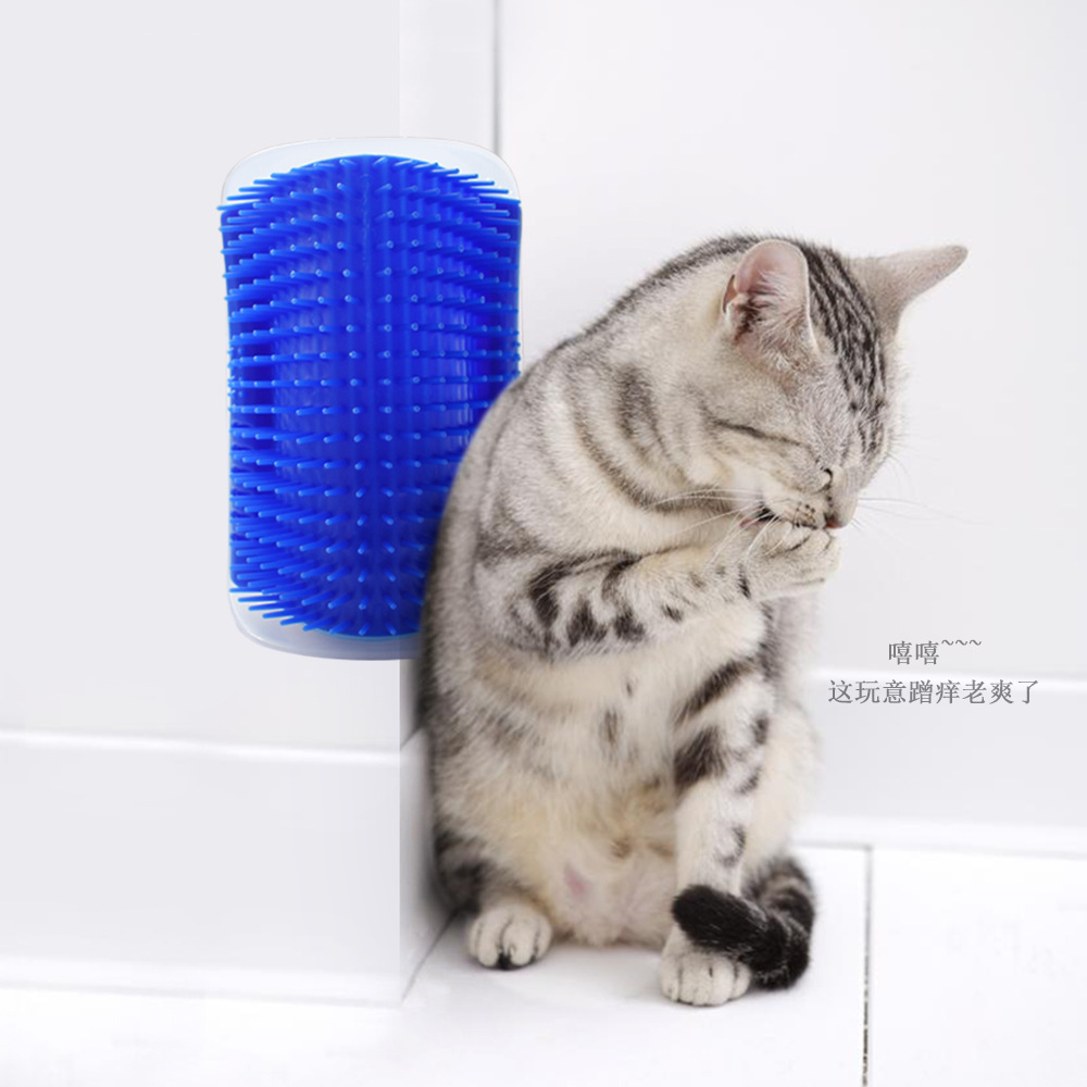 Щетка, игрушка, массажер, расческа, кот, домашний питомец