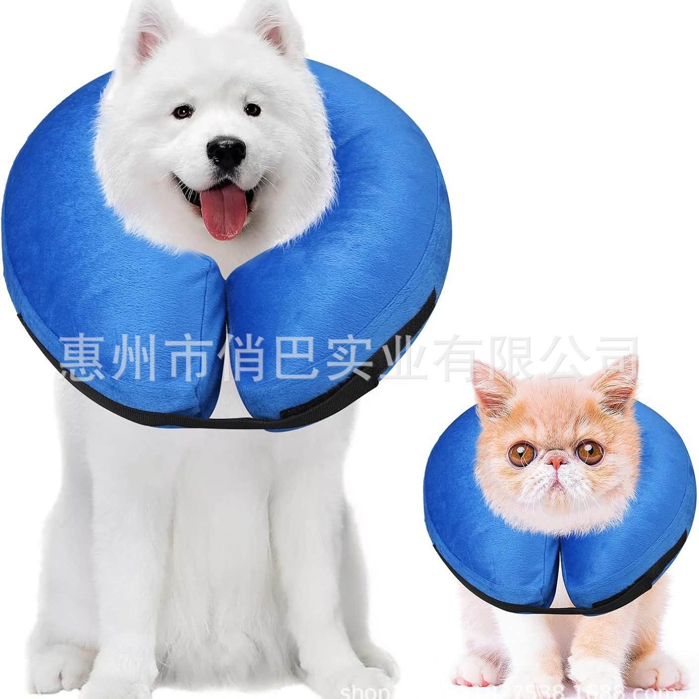 Spot PVC надувная шейка для домашних животных, домашние животные, кусочные кольцы и собаки, антиграбляющий красавичный капюшон против