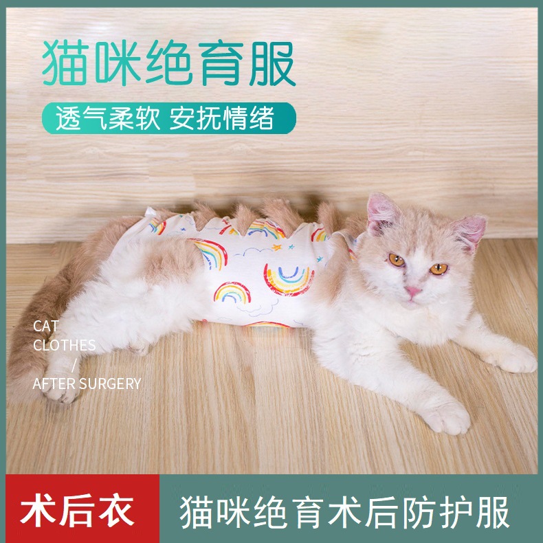 Численные услуги женской кошки интенсивные CAT Catal Antiactive Service Services восстановить физиологические услуги Light Cat Оптовые