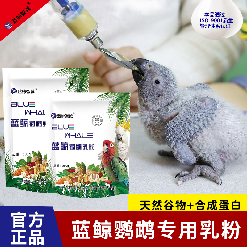 Попугающий молоко порошок синий кит тигр пион xuanfeng молодая птица пищевая пищевая пище