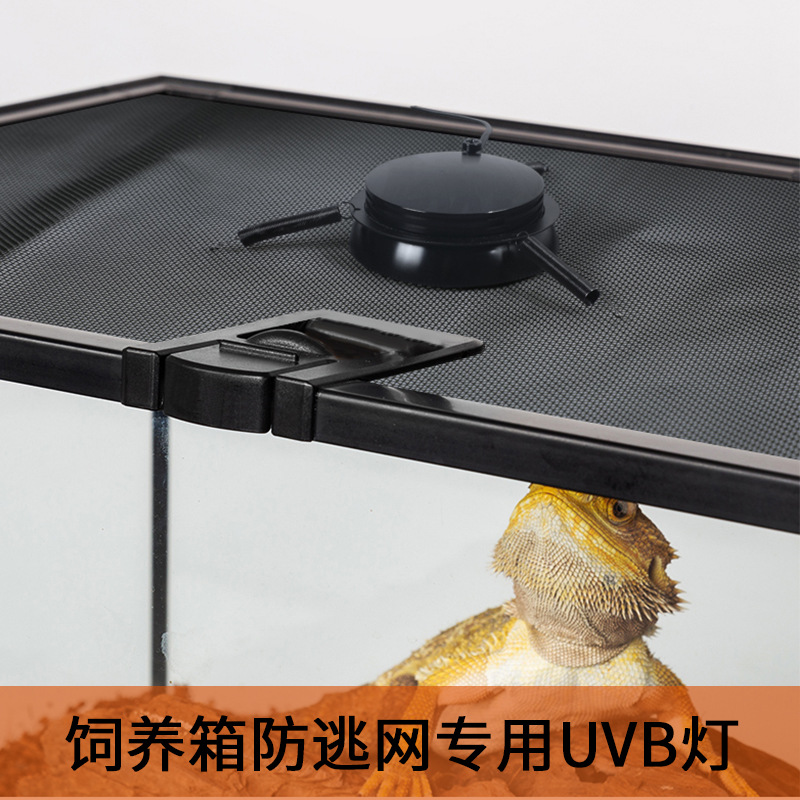 Восхождение по лампе UVB фонарь задний свет кальций коробка с добавлением костюма Fortive Net Lantern Uva Lantern Lizard Shoutu Turtles Ultra -Thin