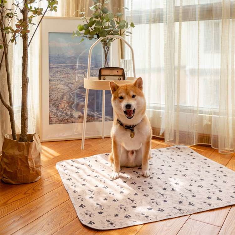 Подгузники для собак Pets можно промыть, анти -кекид, водопоглощение повторно и моча мочи собаки, без мокрых диафрагмы