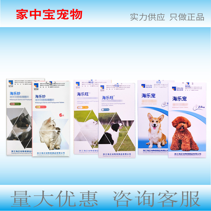 Haile Miao Hailewang Haile Pets Hazheng Dog, собака, собаки, собаки, собаки, собаки, собаки, собаки, собаки, собаки, собаки, собаки, собаки, собаки, собаки, собаки, собаки, собаки, собаки, собаки, собаки, собаки, Собаки, собаки, собаки, собаки, собаки, собаки, собаки, собаки, собаки, собаки, собаки, собаки, собаки, собаки, собаки, собаки, собаки, собаки, собаки, собаки, собаки, собаки, собаки, собаки, собаки, собаки, Собаки и кошки, а также собаки и кошки.
