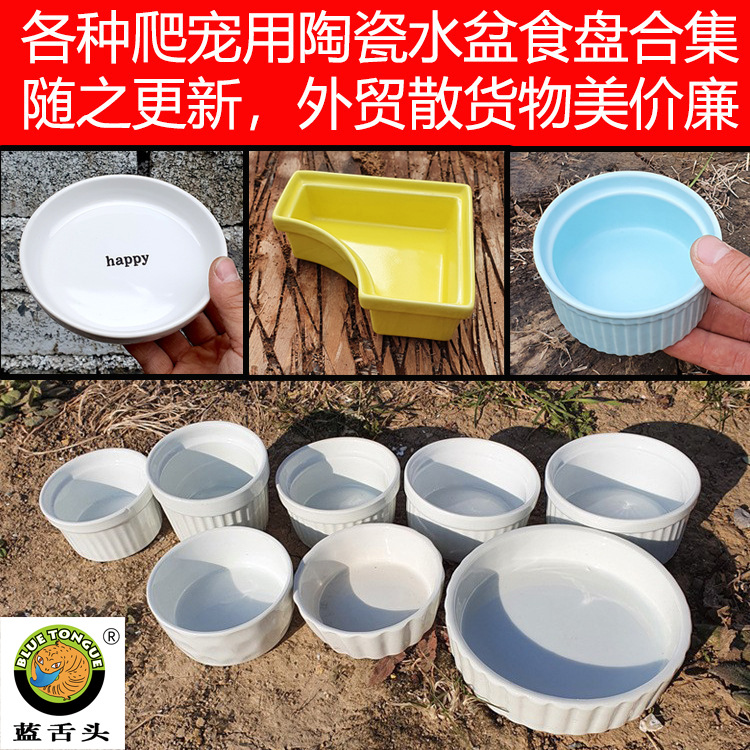 爬虫蛇饮水泡水盆蓝蛇石龙子食盆鬃狮蜥蜴守宫大麦虫面包虫爬宠